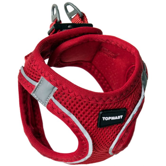 halsband, hond, riem, wandelen, tuig, borsttuig , puppy