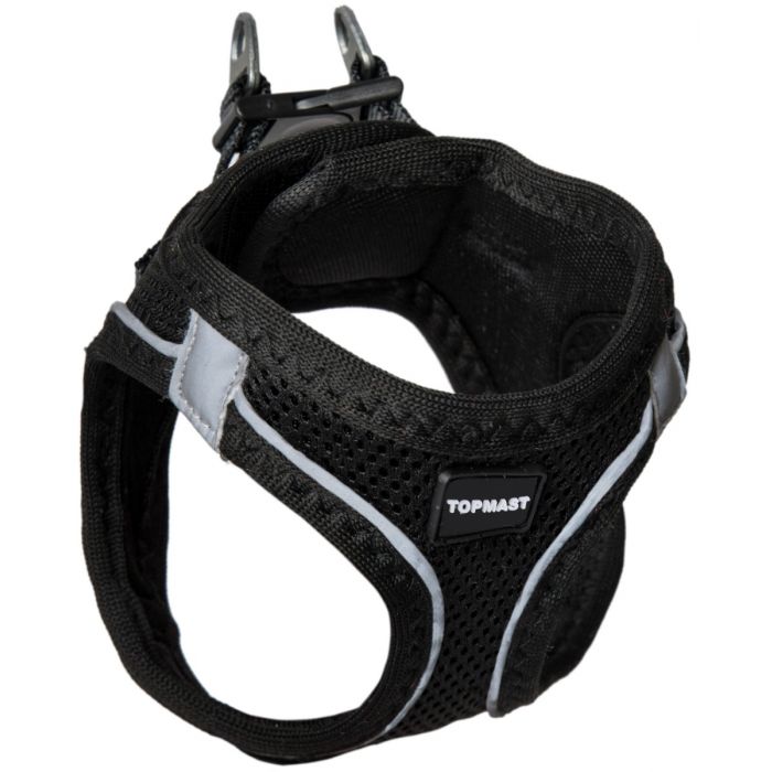 halsband, hond, riem, wandelen, tuig, borsttuig , puppy