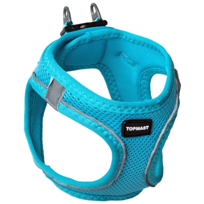halsband, hond, riem, wandelen, tuig, borsttuig , puppy