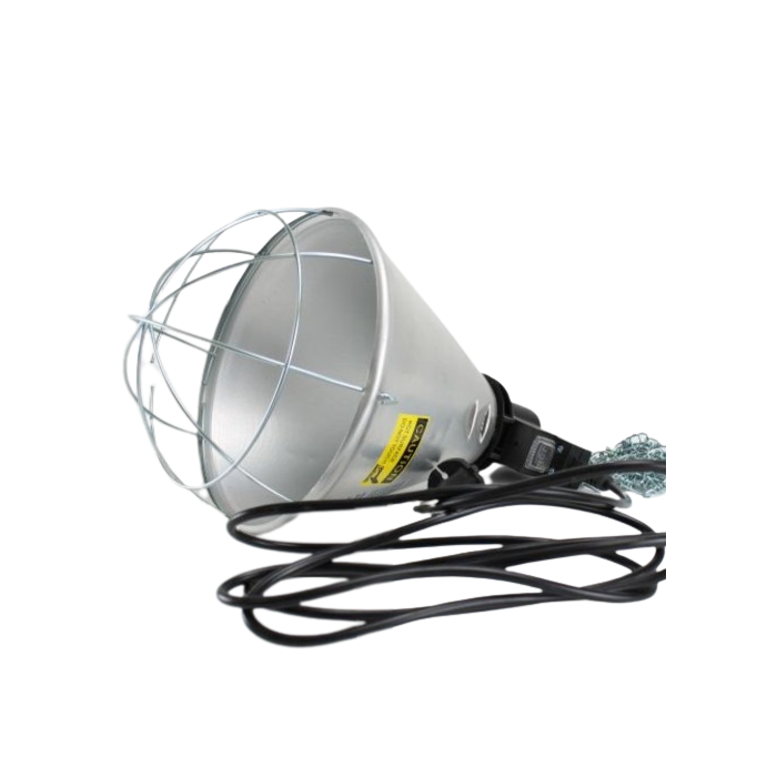 lamp, warmtelamp, puppy, werpkist, temperatuur, infraood, watt