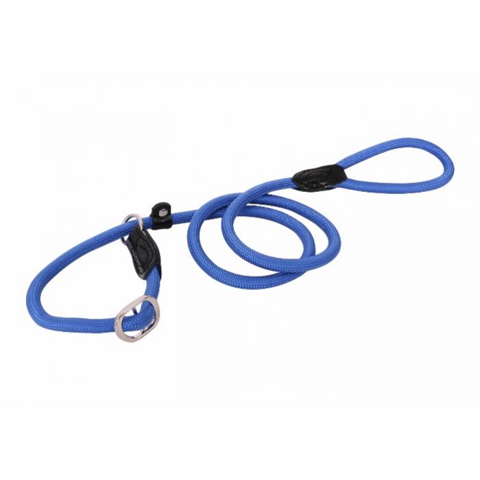 halsband, hond, riem, wandelen, sliplijn, jachtlijn, retrieverlijn