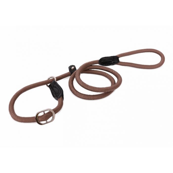 halsband, hond, riem, wandelen, sliplijn, jachtlijn, retrieverlijn