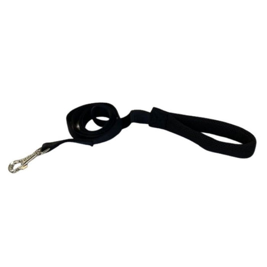 halsband, hond, riem, wandelen, sliplijn, jachtlijn, retrieverlijn