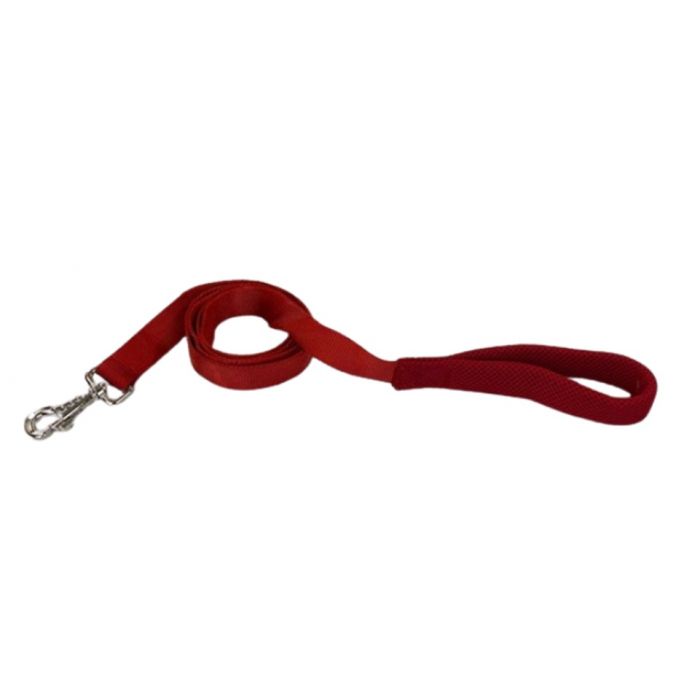 halsband, hond, riem, wandelen, sliplijn, jachtlijn, retrieverlijn