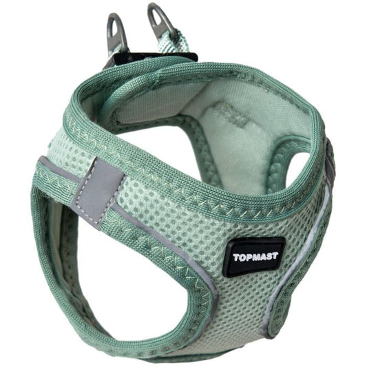 halsband, hond, riem, wandelen, tuig, borsttuig , puppy