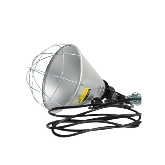 lamp, warmtelamp, puppy, werpkist, temperatuur, infraood, watt